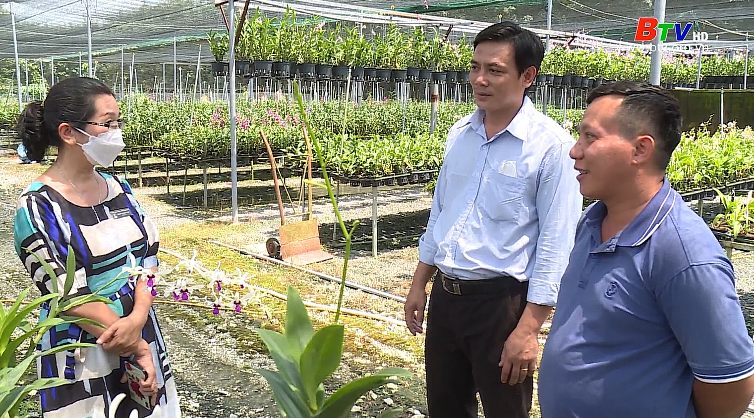 Mô hình trồng lan chậu của Anh Ngô Thanh Tùng ở Long Nguyên, Bàu Bàng